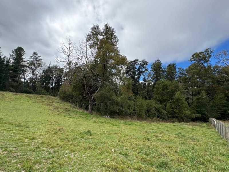 Parcela en venta en Villarrica — foto 3
