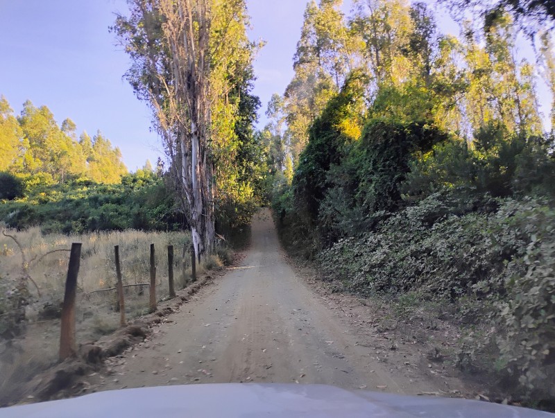 Casa en venta en Villarrica — foto 3