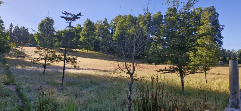 Parcela en venta en Villarrica — foto 6