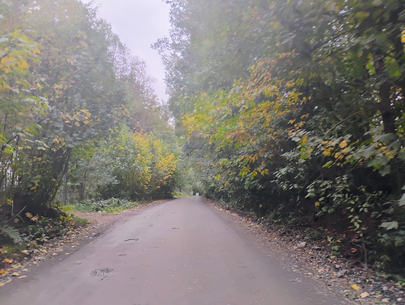 Parcela en venta en Villarrica — foto 8