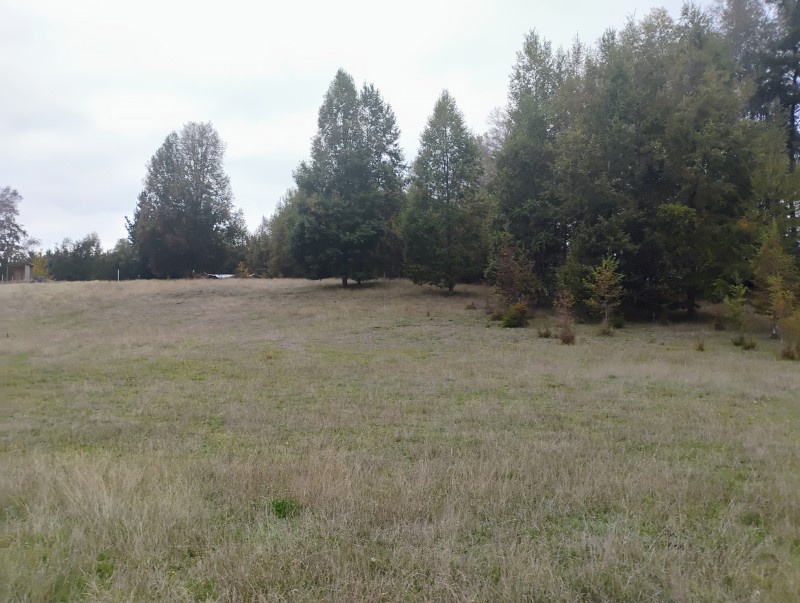 Parcela en venta en Villarrica — foto 10