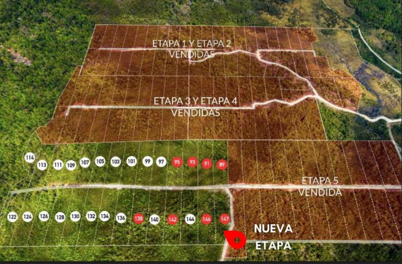 Parcela en venta en Chonchi — foto 4