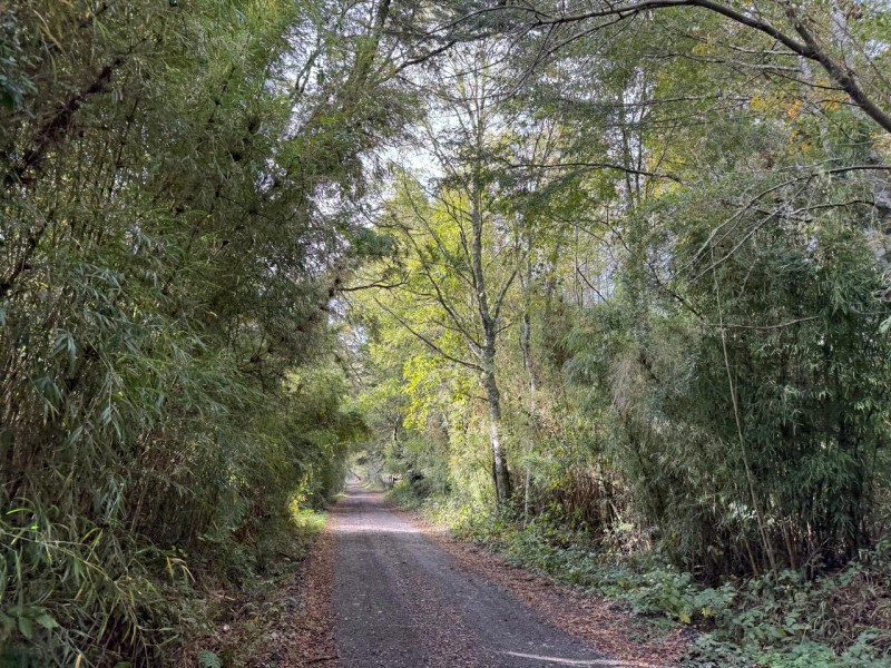 Campo en venta en Villarrica — foto 2