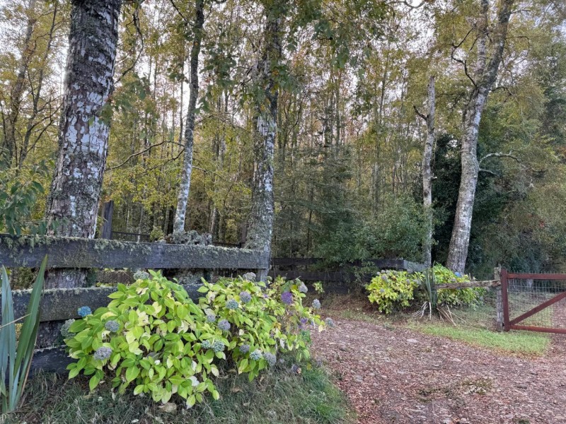 Casa en venta en Villarrica — foto 4