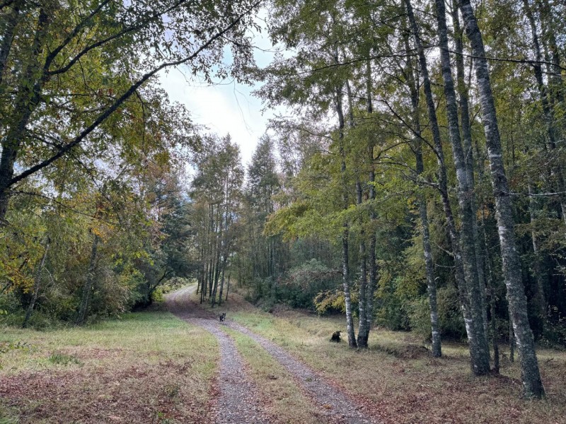 Casa en venta en Villarrica — foto 5