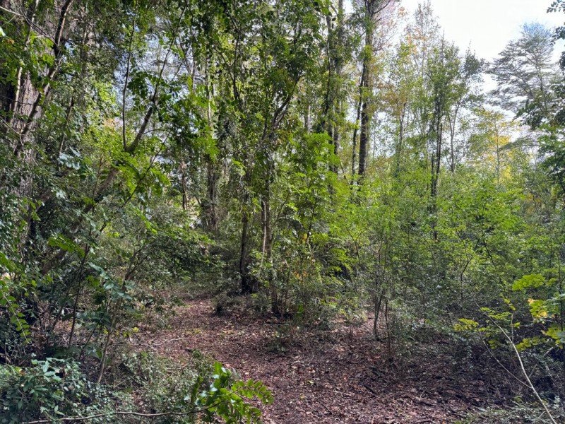 Casa en venta en Villarrica — foto 9