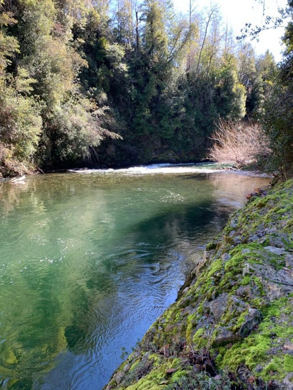 Campo en venta en Curarrehue — foto 1