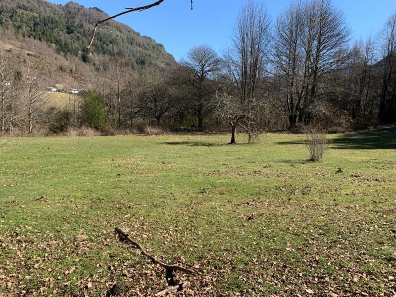 Campo en venta en Curarrehue — foto 3
