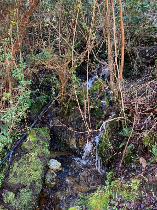 Campo en venta en Curarrehue — foto 4