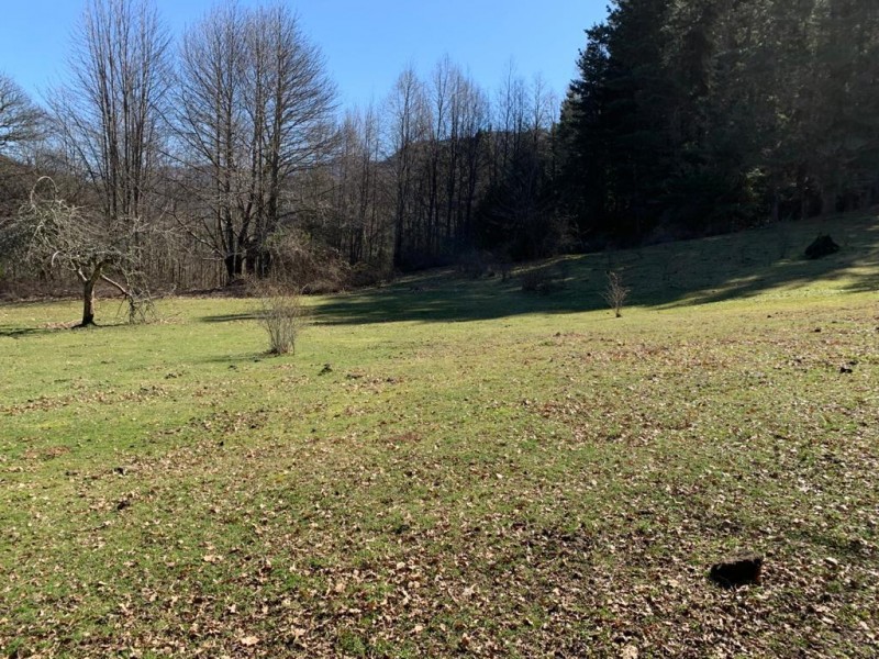 Campo en venta en Curarrehue — foto 6