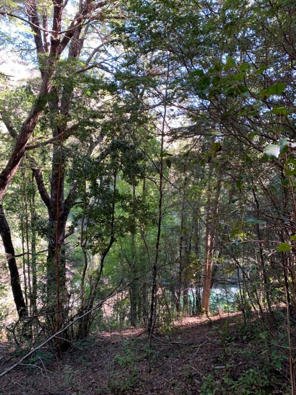 Campo en venta en Curarrehue — foto 10