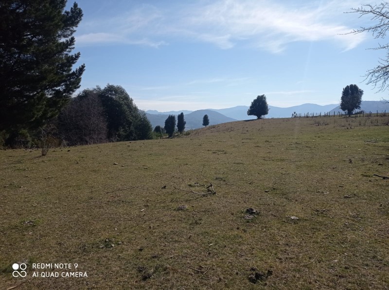 Parcela en venta en Pucón — foto 4