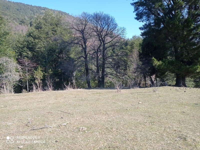 Parcela en venta en Pucón — foto 8