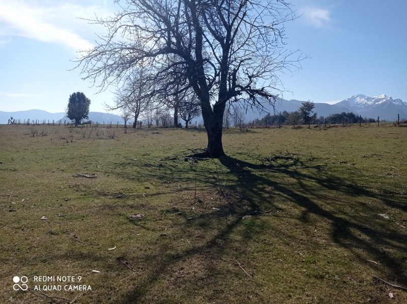 Parcela en venta en Pucón — foto 9