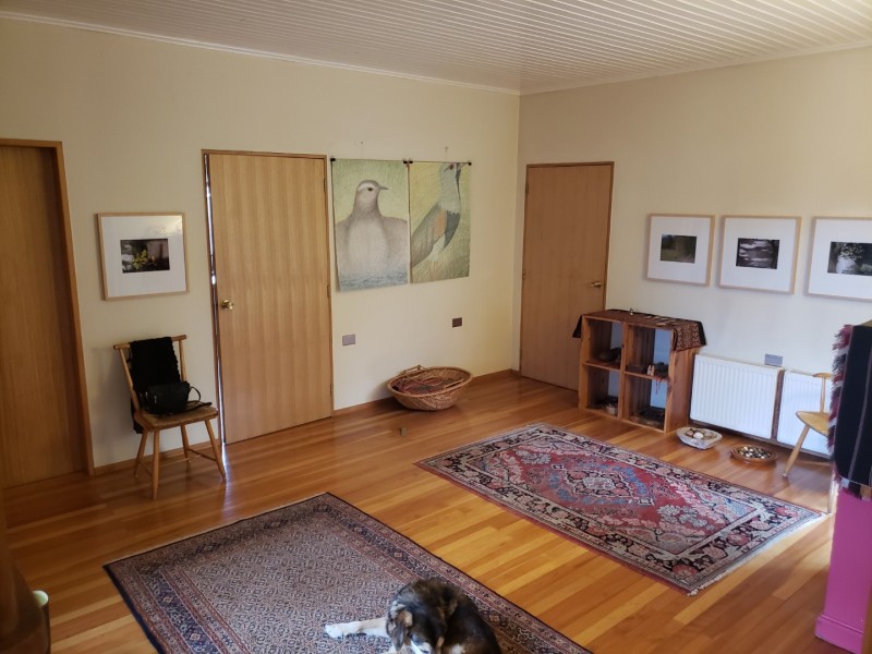 Campo en venta en Villarrica — foto 9