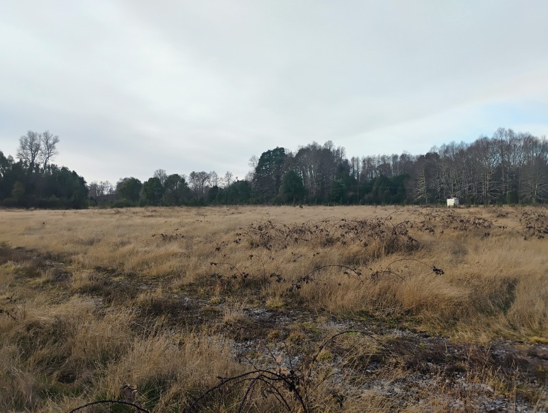 Parcela en venta en Villarrica — foto 6
