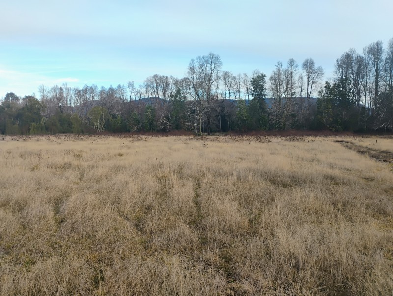 Parcela en venta en Villarrica — foto 10