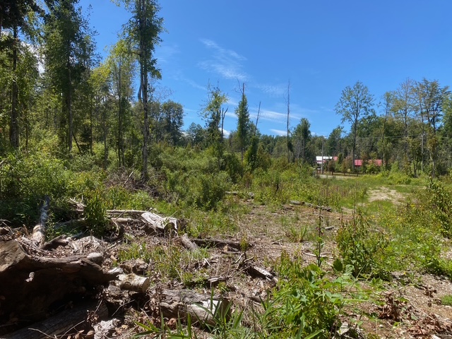 Parcela en venta en Villarrica — foto 1