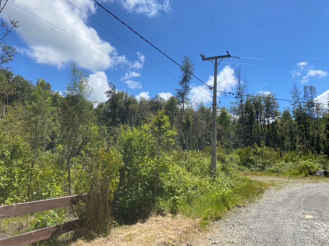 Parcela en venta en Villarrica — foto 7