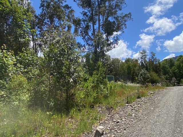 Parcela en venta en Villarrica — foto 9