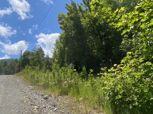Parcela en venta en Villarrica — foto 10