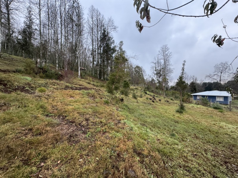 Casa en venta en Villarrica — foto 4