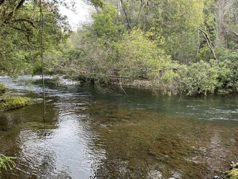 Parcela en venta en Villarrica — foto 1