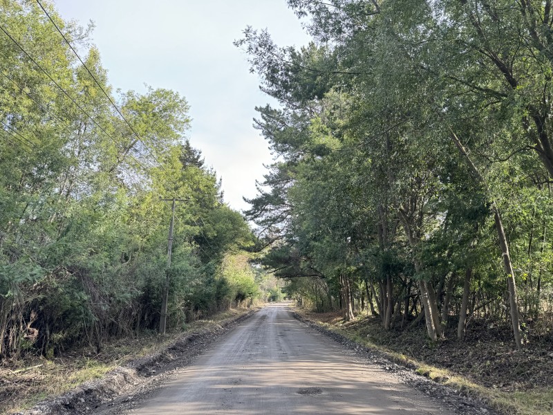 Parcela en venta en Villarrica — foto 4