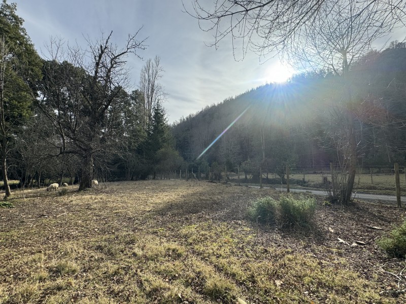 Parcela en venta en Villarrica — foto 5