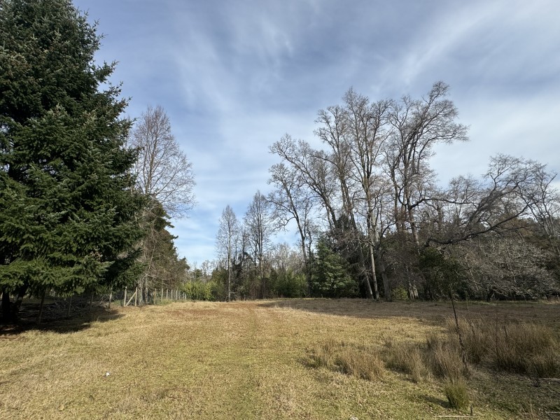 Parcela en venta en Villarrica — foto 6