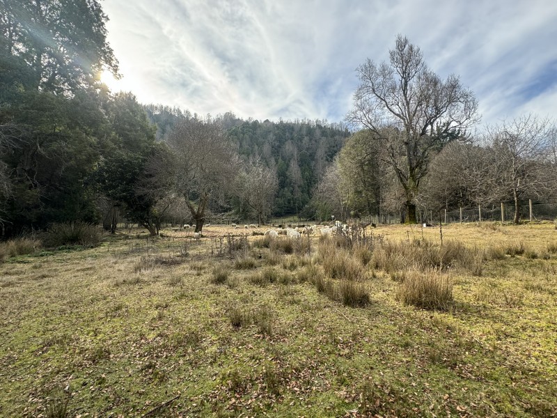 Parcela en venta en Villarrica — foto 7