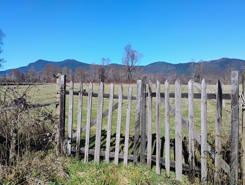 Parcela en venta en Villarrica — foto 3