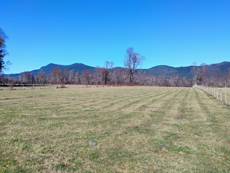 Parcela en venta en Villarrica — foto 4
