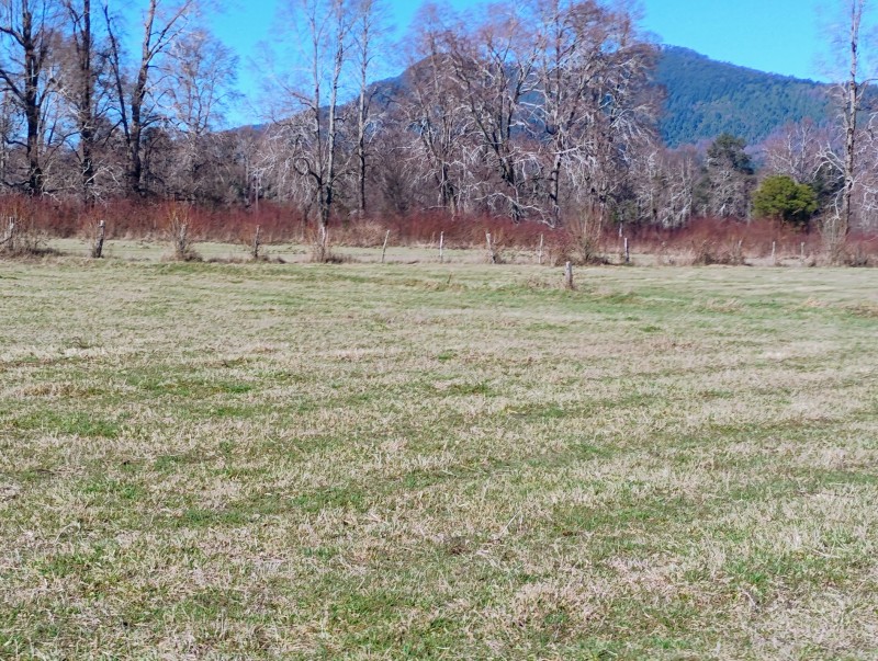 Parcela en venta en Villarrica — foto 8