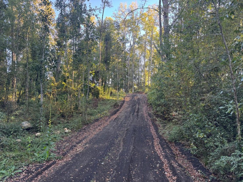 Parcela en venta en Villarrica — foto 2