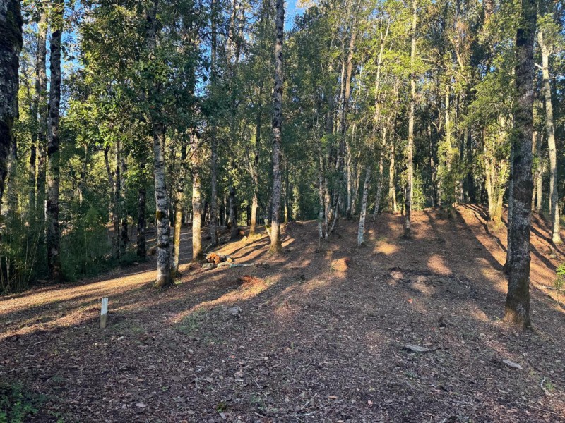 Parcela en venta en Villarrica — foto 4