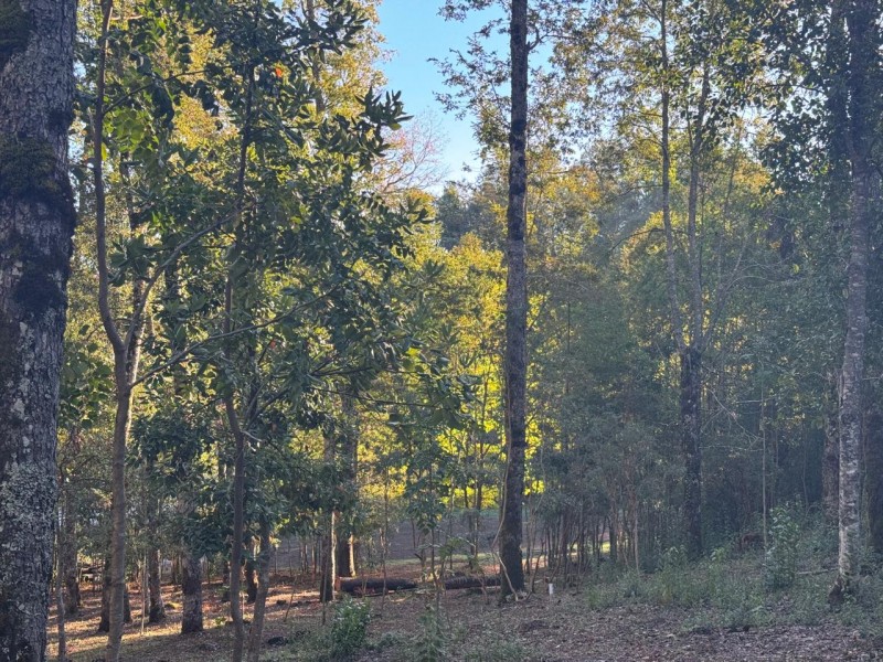 Parcela en venta en Villarrica — foto 7