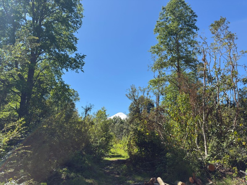 Parcela en venta en Villarrica — foto 7