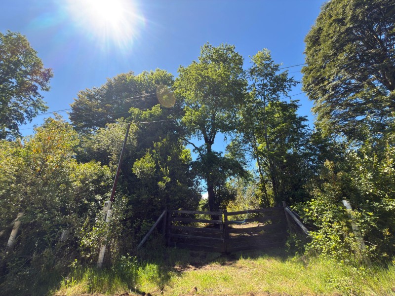 Parcela en venta en Villarrica — foto 9