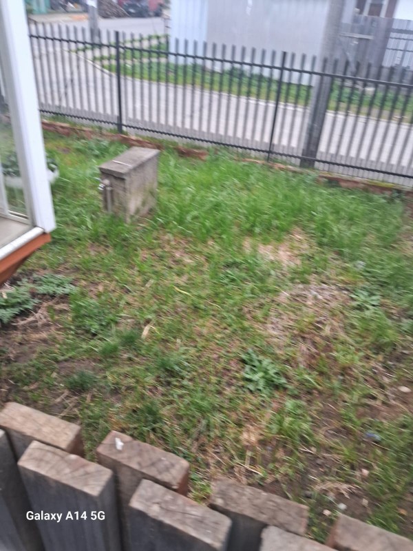 Casa en venta en Pitrufquén — foto 10