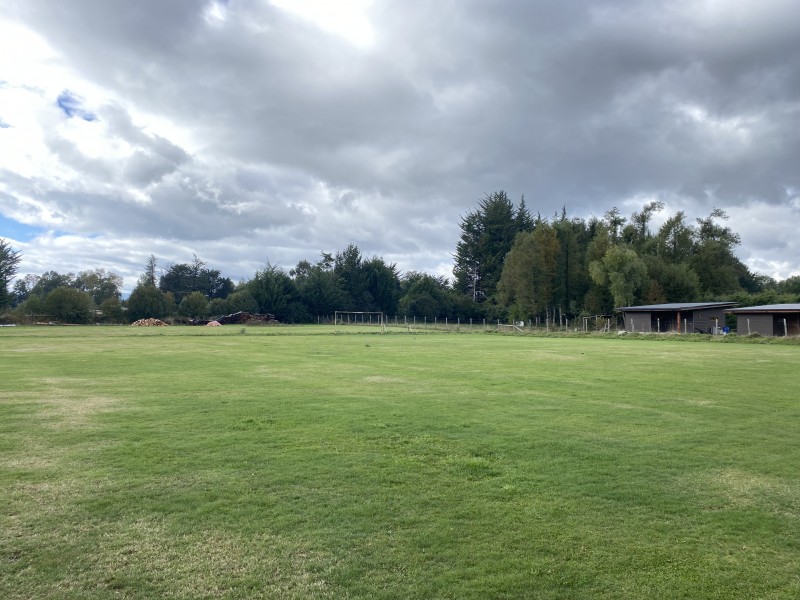 Parcela en venta en Villarrica — foto 2