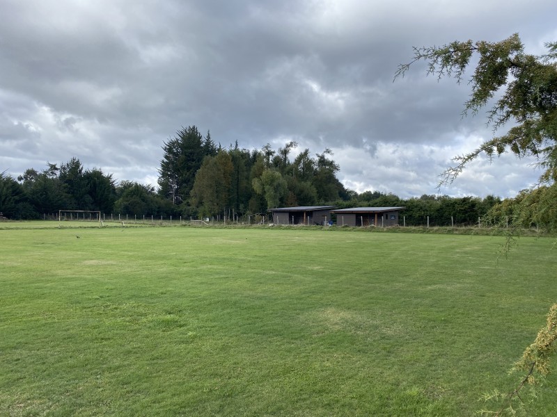 Parcela en venta en Villarrica — foto 3