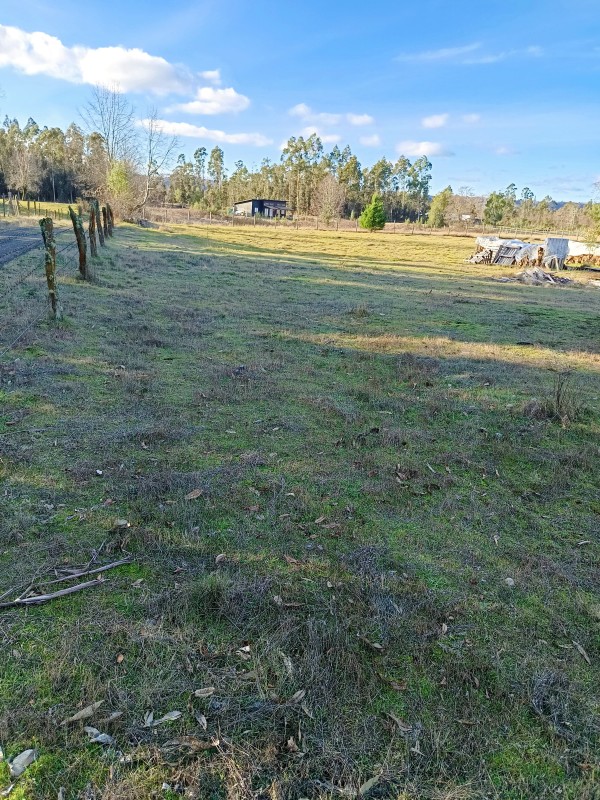 Parcela en venta en Pitrufquén — foto 5