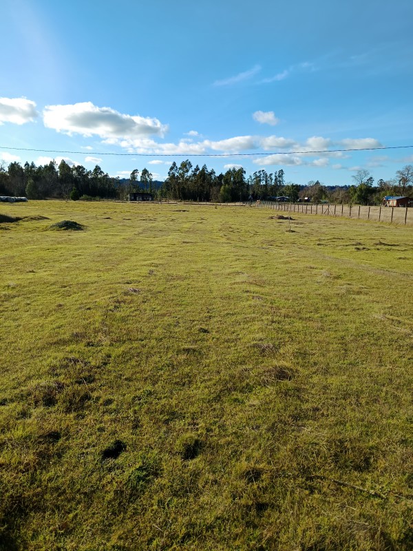 Parcela en venta en Pitrufquén — foto 10