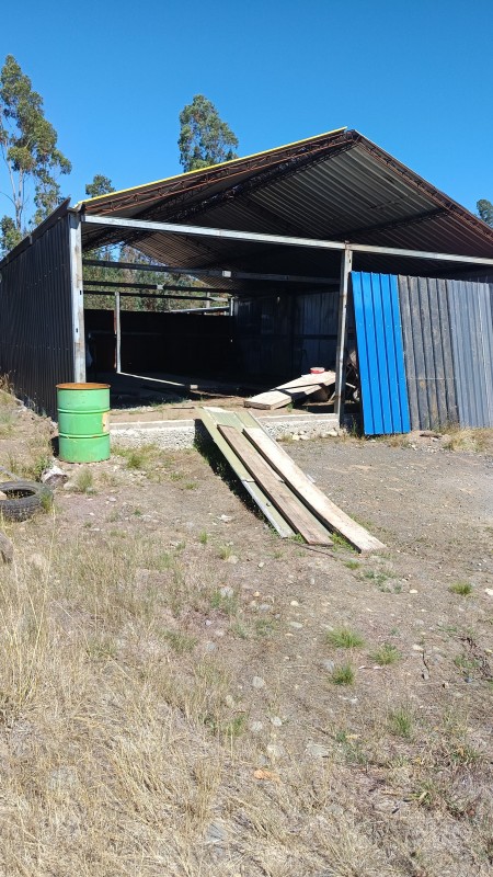 Casa en venta en Pitrufquén — foto 3