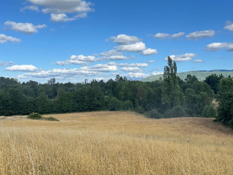 Parcela en venta en Villarrica — foto 1