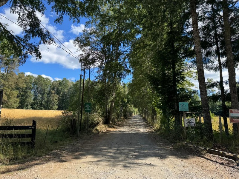 Parcela en venta en Villarrica — foto 3