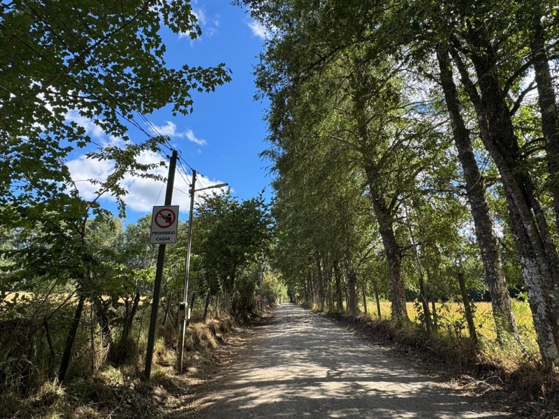 Parcela en venta en Villarrica — foto 4