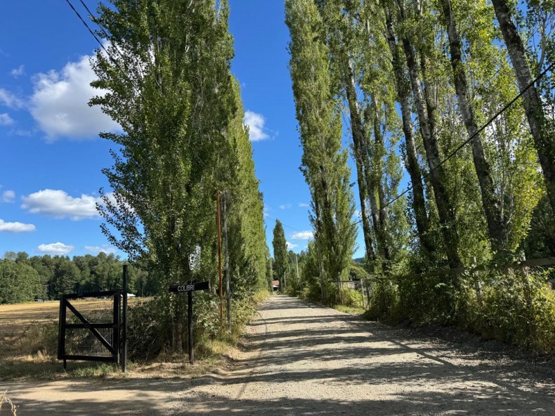 Parcela en venta en Villarrica — foto 5