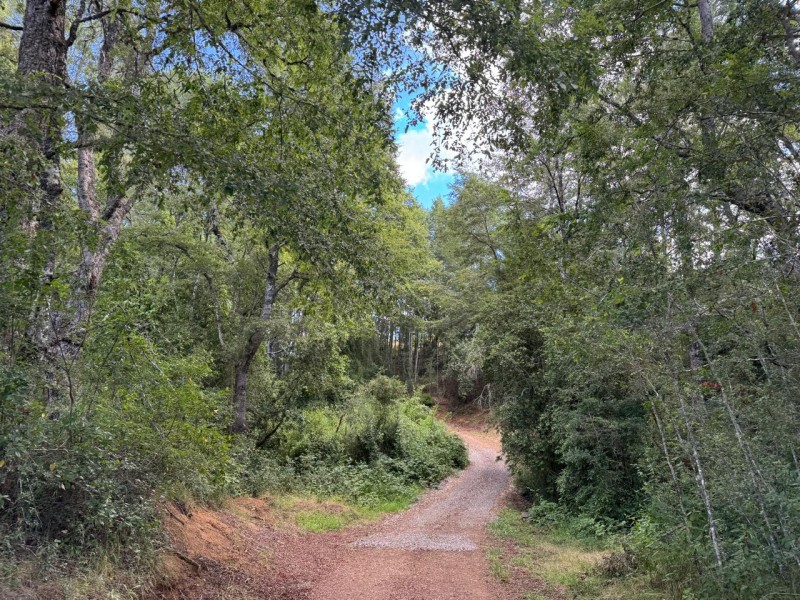 Parcela en venta en Villarrica — foto 7